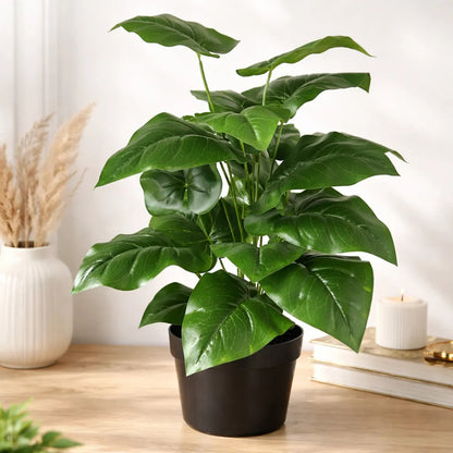 Planta Alocasia 77 cm