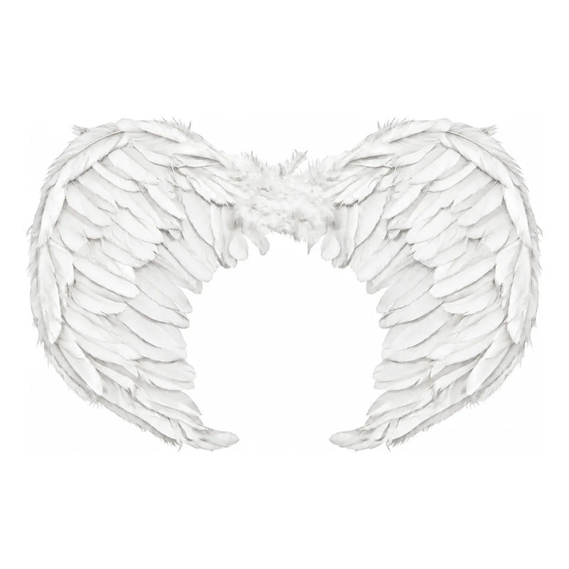 Alas de Ángel